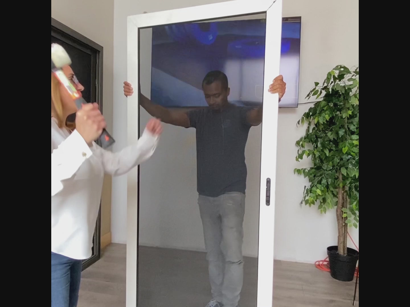 Fixed Security Screen Windows